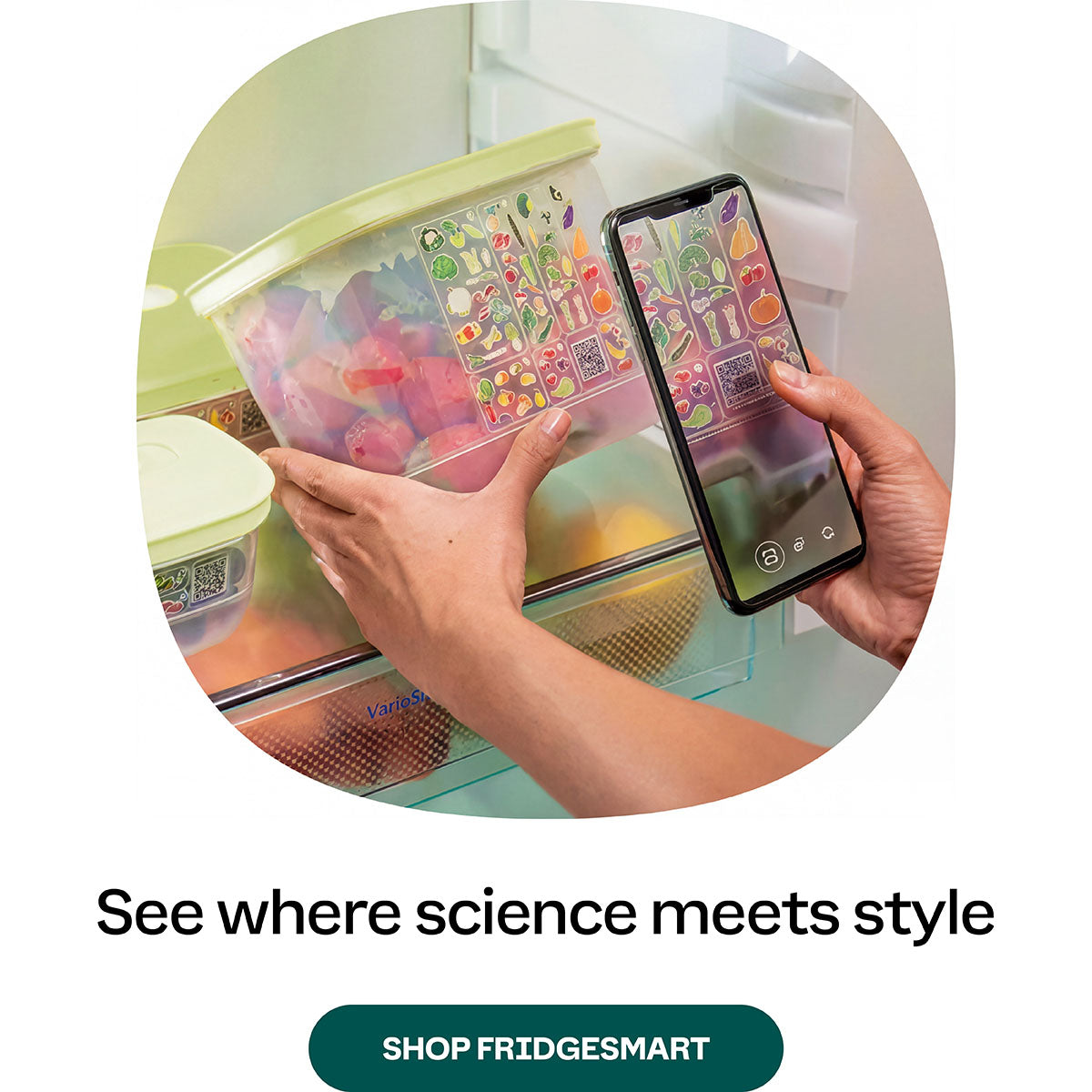 FridgeSmart containers